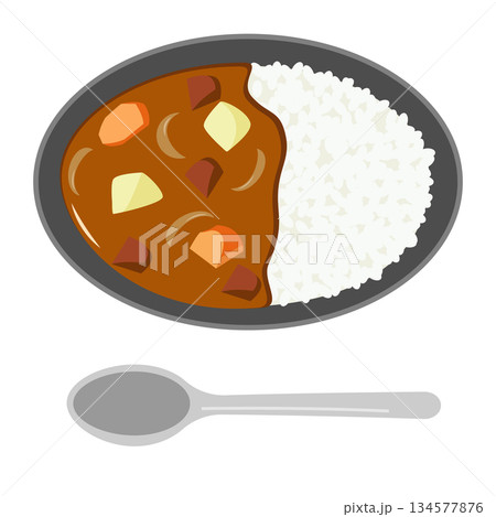 器に盛ったカレーライスのイラスト 134577876