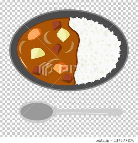 器に盛ったカレーライスのイラスト 134577876
