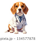 白衣を着た医師のビーグル犬 水彩風イラスト｜動物病院の医療素材2／チラシやポスター用素材 134577878