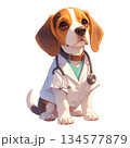 白衣を着た医師のビーグル犬 水彩風イラスト｜動物病院の医療素材1／チラシやポスター用素材 134577879
