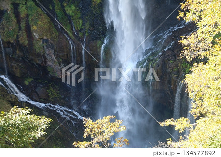 奥日光を代表する華厳の滝 134577892