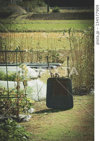 農業の盛んな地域 134577909