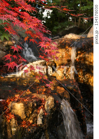 紅葉と滝 134578030
