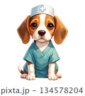 医療従事者のユニフォームを着たビーグル犬 水彩風イラスト｜看護師・病院向け素材1 134578204