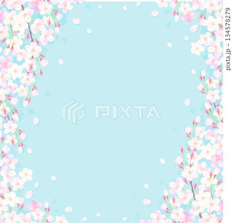 桜と青空の背景イラスト 桜と青空の背景イラスト 134578279