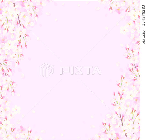 桜の背景イラスト［ピンク］ 134578283