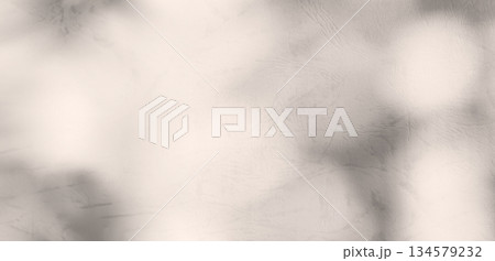 Shadow Pink Premium Gradation Beige Background Texture blur Gradient Light Pastel Abstract Luxury Premium Mockup Peach Color Backdrop Template Valentine Summer Spring Overlay Neon Pink Flower Rose. 134579232