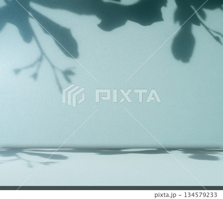 Blue Background for Presentation Abstract Studio Cyan Template Business Kitchen House Table Building Light Spaec Wall Interior Room Plant Shadow Window Desk Floor Bar Concrete Gradien Stone Podium 134579233