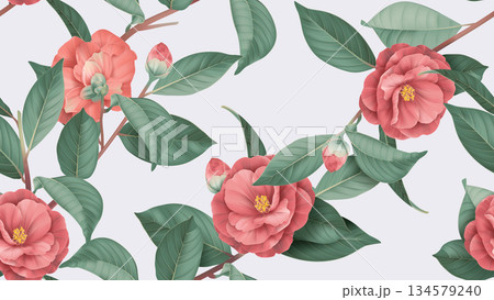 Floral seamless pattern, red Semi-double Camellia flowers with leaves on bright grey 134579240