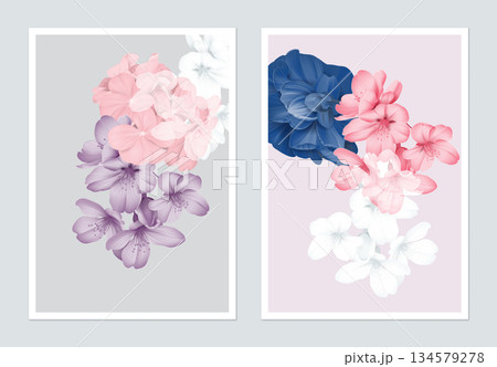 Botanical poster design, sakura, Pelargonium zonale and Semi-double Camellia Botanical poster design, sakura, Pelargonium zonale and Semi-double Camellia 134579278