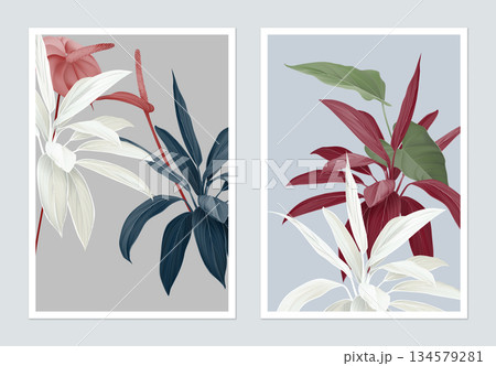 Botanical poster design, Cordyline fruticosa Firebrand and Anthurium flowers 134579281