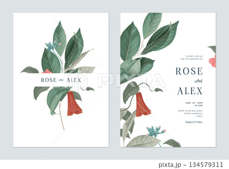 Floral wedding invitation card template design, various leaves and flowers on white 134579311