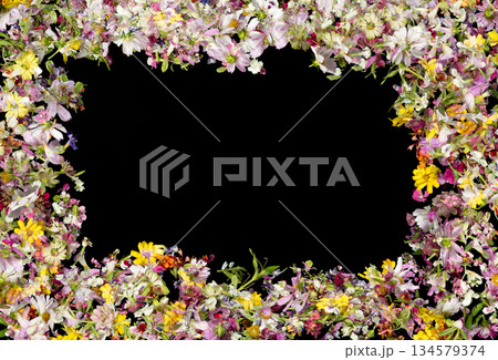 Yellow floral boarder frame flower with black background copy space at center for text. Pedal leaves for wedding invitation, card blossom, spring summer holiday Yellow floral boarder frame flower with black background copy space at center for text. Pedal leaves for wedding invitation, card blossom, spring summer holiday 134579374