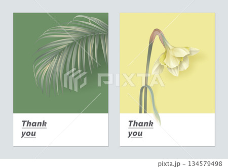 Minimalist botanical thank you card template design, indoor bamboo palm and Daffodil Minimalist botanical thank you card template design, indoor bamboo palm and Daffodil 134579498