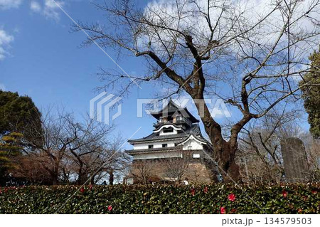 犬山城天守閣 犬山城天守閣 134579503