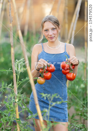Young woman with tomato harvest in cottage garden 134579520