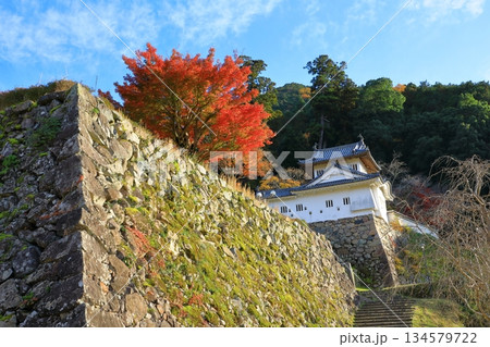 出石城跡 本丸西隅櫓 出石城跡 本丸西隅櫓 134579722