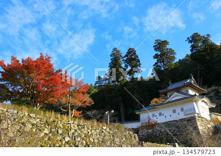 出石城跡 本丸西隅櫓 出石城跡 本丸西隅櫓 134579723