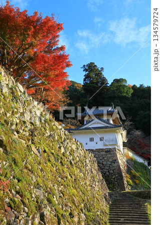 出石城跡　本丸西隅櫓 134579724