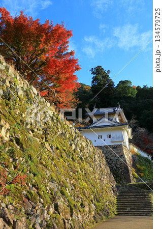 出石城跡 本丸西隅櫓 出石城跡 本丸西隅櫓 134579725