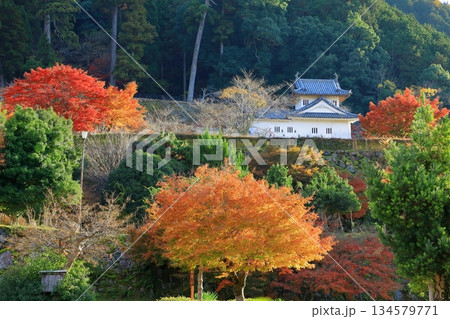 出石城跡 全景 出石城跡 全景 134579771