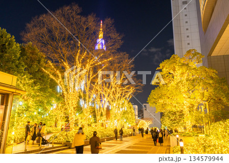 《東京都》新宿・冬のイルミネーション 《東京都》新宿・冬のイルミネーション 134579944