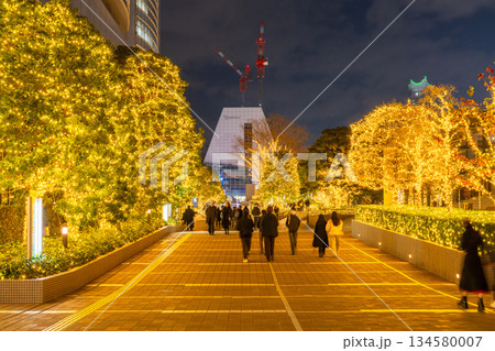 《東京都》新宿・冬のイルミネーション 134580007