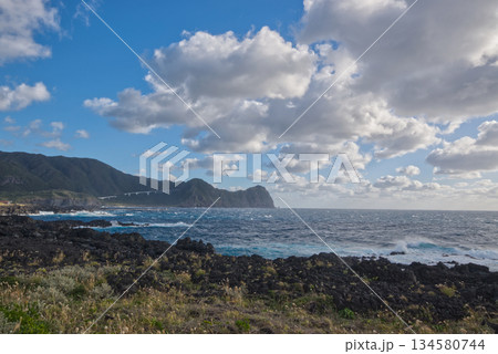 八丈島・大潟浦園地から望む荒々しい海と火山岩の海岸風景 134580744