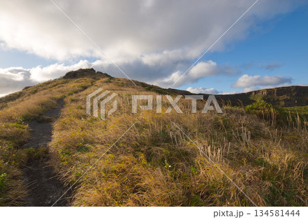 八丈富士中央火口丘の登山道　草原と青空が広がる火山の風景 134581444