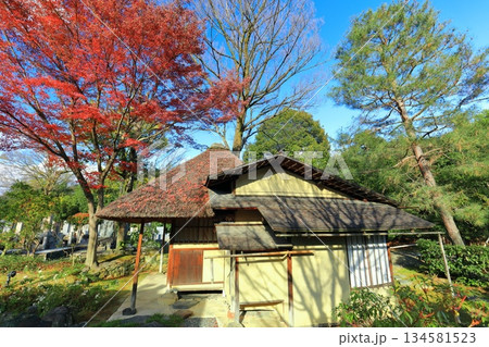 【京都府】快晴の高台寺の遺芳庵と紅葉 134581523