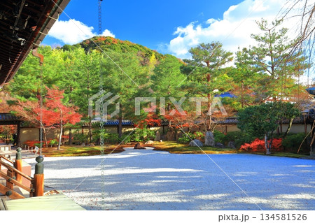 【京都府】快晴の高台寺の波心庭と紅葉 【京都府】快晴の高台寺の波心庭と紅葉 134581526