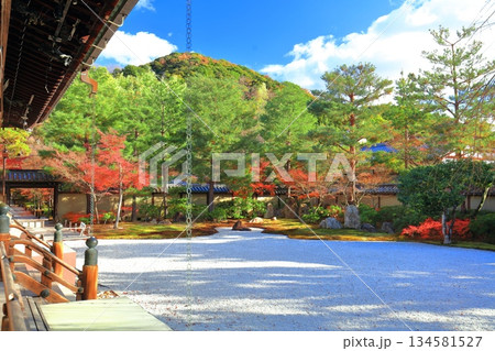 【京都府】快晴の高台寺の波心庭と紅葉 134581527