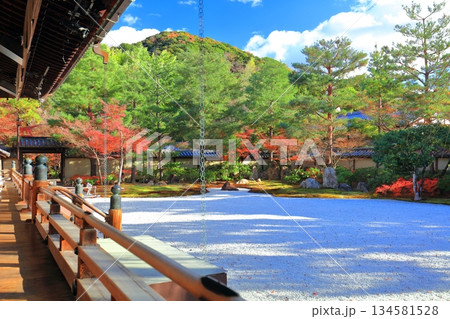 【京都府】快晴の高台寺の波心庭と紅葉 【京都府】快晴の高台寺の波心庭と紅葉 134581528