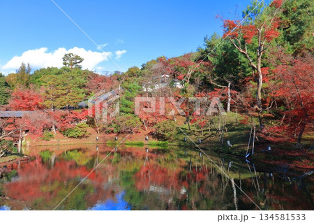 【京都府】快晴の高台寺の臥龍池と紅葉 【京都府】快晴の高台寺の臥龍池と紅葉 134581533