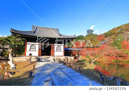 【京都府】快晴の高台寺の開山堂と紅葉 【京都府】快晴の高台寺の開山堂と紅葉 134581539