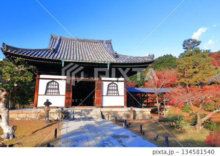 【京都府】快晴の高台寺の開山堂と紅葉 134581540
