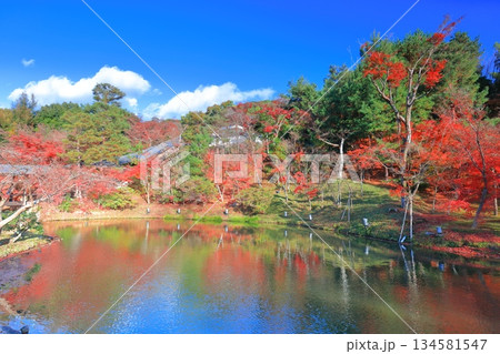 【京都府】快晴の高台寺の臥龍池と紅葉 134581547