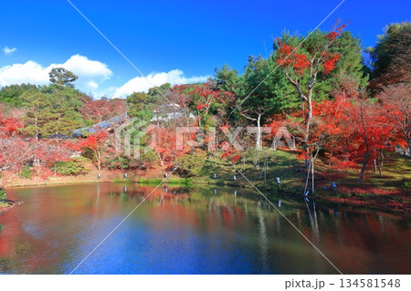 【京都府】快晴の高台寺の臥龍池と紅葉 134581548