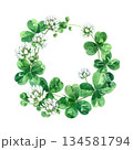 シロツメクサのリース　水彩イラスト 134581794