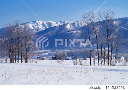 北海道極寒の朝樹氷の有る風景 134582098