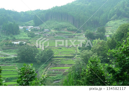 四国、土佐の高知、梼原「千枚田」 134582117