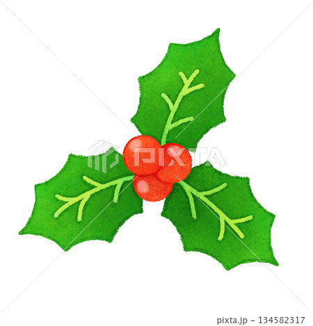 手描きかわいい柊のイラスト 手描きかわいい柊のイラスト 134582317