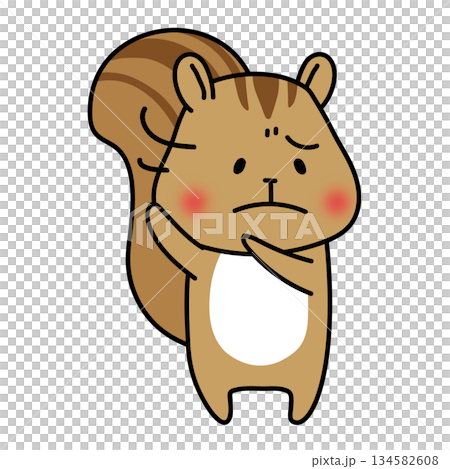 Reluctant squirrel Reluctant squirrel 134582608