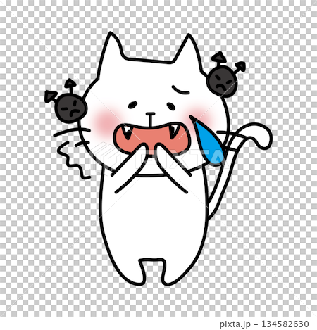 虫歯を痛がる白い猫 134582630