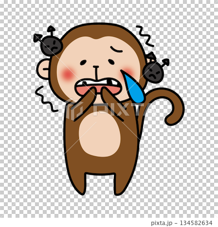 虫歯を痛がる猿 134582634