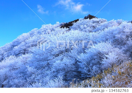 霧氷の沓掛山（くじゅう連山・大分県九重町） 134582763