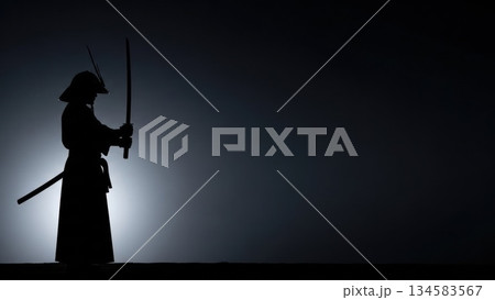 孤高の戦士：夜明けの丘に立つ侍のシルエット 134583567