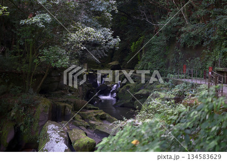 関吉の疎水溝の夏 134583629