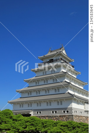 快晴の青空に映える白亜の島原城の佇まい 134583645