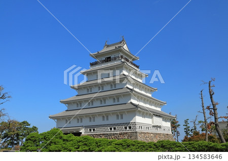 日本百名城に数えられる島原城の美しい風景 日本百名城に数えられる島原城の美しい風景 134583646